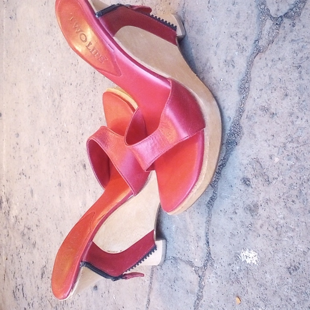 Red wedges